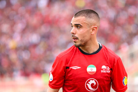 ریکاردو آلوز